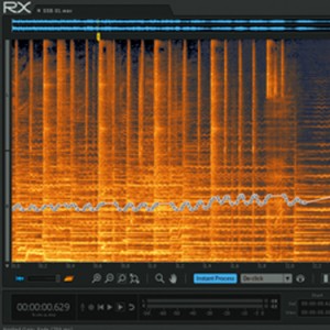 Izotope RX5 Audio Editing Software