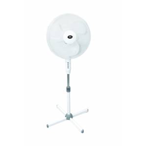 Prinetti Fan 16