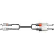2 x RCA Phono to 2 x 6.3mm Jack Cable, 3m