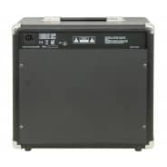 Chord CG-30 Series 30 Watt Guitar Amplifier