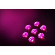 Citronic CosmoPAR - 7x40W COB LED RGBW PAR Light