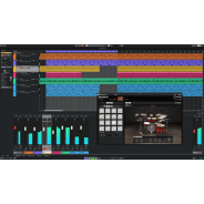 Cubase Elements 15 Music Production Software (Serial Download)