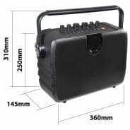 E-Audio 100W Portable PA Speaker with Wireless Handheld & Headset Microphones