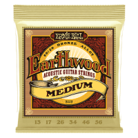 Ernie Ball Rock & Blues w/Plain G 80/20 Bronze 2002 Acoustic Strings (10-52)
