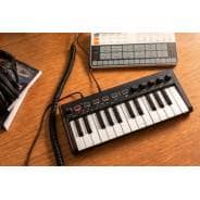 iRig Keys 2 Mini - Ultra-Compact Velocity-Sensitive 25-Key MIDI Keyboard (Mini Keys)