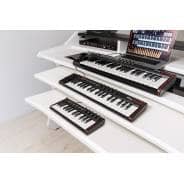 iRig Keys 2 - Ultra-Compact Velocity-Sensitive 37-Key MIDI Keyboard (Mini Keys)