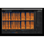iZotope RX 6 Elements (Serial Download)