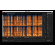 iZotope RX 6 Standard Audio Editor (Serial Download)