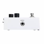 MOOER Loopation - Vocal/Instrumental Looper Pedal