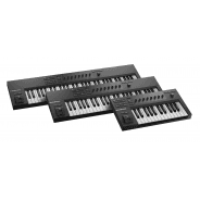 Native Instruments Komplete Kontrol A61 & NI Plugin Bundle