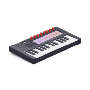 Novation FLkey 2 Mini 25 MIDI Keyboard & Controller For FL Studio