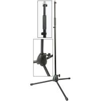 AudioKraft RS2 Straight Microphone Stand 