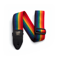 Ernie Ball PolyPro Electric and Bass Guitar Strap - Rainbow