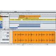 Reason 13 - Music Production Software (Serial Download)