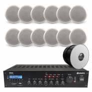 Restaurant Background Music System with Bluetooth & DAB Radio - 12x Bosch Ceiling Speakers