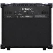 Roland CUBE-10GX - Compact 10W Practice Amplifier