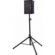 Roland CUBE Street EX Battery-Powered Stereo Guitar Amplifier