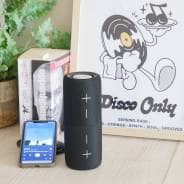 Steepletone SPLIT - Portable Two-In-One Split Bluetooth Speaker (Black)