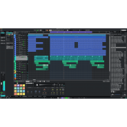 Steinberg Cubase Pro 14 - Educational License (Serial Download ...