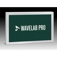 Steinberg WaveLab Pro 12 (Serial Download)