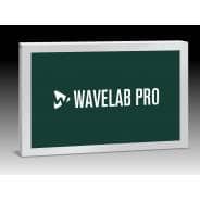 Steinberg WaveLab Pro 12 (Serial Download)