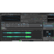 Steinberg WaveLab Pro 12 (Serial Download)