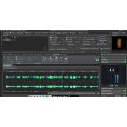 Steinberg WaveLab Pro 12 (Serial Download)