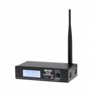 W Audio RM 30 UHF Handheld Radio Microphone System (864.8Mhz)