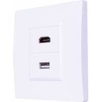 Eagle Wall Plate With A USB 2.0 Feed Through Socket and a HDMI 2.0 Feed Through Socket
