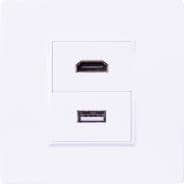 Wall Plate With A USB 2.0 Feed Through Socket and a HDMI 2.0 Feed Through Socket